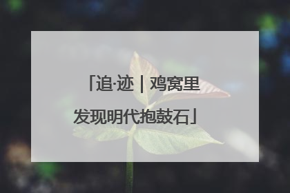 追·迹｜鸡窝里发现明代抱鼓石