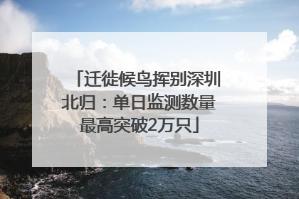 迁徙候鸟挥别深圳北归：单日监测数量最高突破2万只