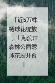 近5万株绣球花绽放，上海滨江森林公园绣球花展开幕