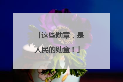 这些勋章，是人民的勋章！