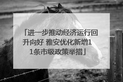 进一步推动经济运行回升向好 雅安优化新增11条市级政策举措