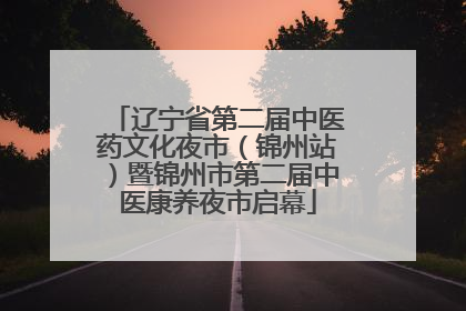 辽宁省第二届中医药文化夜市（锦州站）暨锦州市第二届中医康养夜市启幕