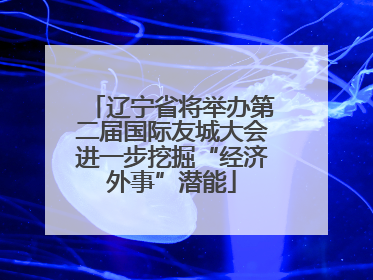 辽宁省将举办第二届国际友城大会进一步挖掘“经济外事”潜能