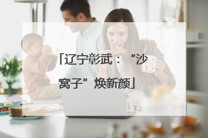 辽宁彰武：“沙窝子”焕新颜