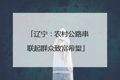 辽宁：农村公路串联起群众致富希望
