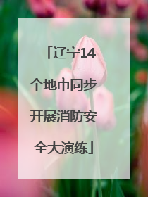 辽宁14个地市同步开展消防安全大演练