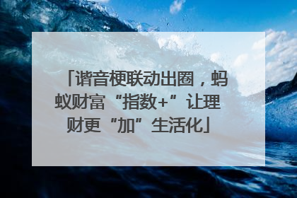 谐音梗联动出圈，蚂蚁财富“指数+”让理财更“加”生活化