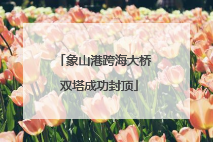 象山港跨海大桥双塔成功封顶