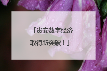 贵安数字经济取得新突破！