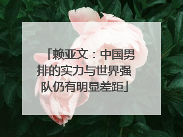 赖亚文：中国男排的实力与世界强队仍有明显差距