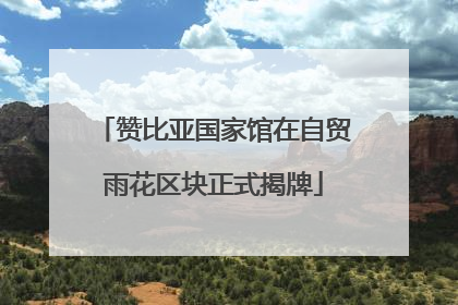 赞比亚国家馆在自贸雨花区块正式揭牌