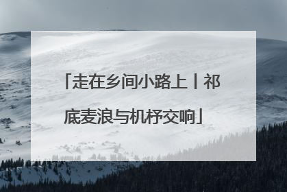 走在乡间小路上丨祁底麦浪与机杼交响