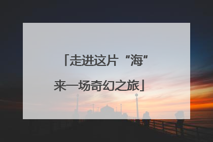 走进这片“海”来一场奇幻之旅
