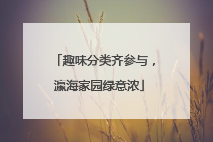 趣味分类齐参与，瀛海家园绿意浓