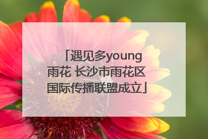 遇见多young雨花 长沙市雨花区国际传播联盟成立