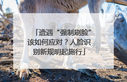 遭遇“强制刷脸”该如何应对？人脸识别新规明起施行
