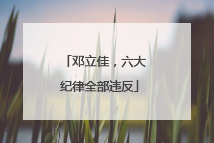 邓立佳，六大纪律全部违反