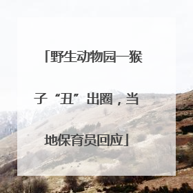 野生动物园一猴子“丑”出圈，当地保育员回应