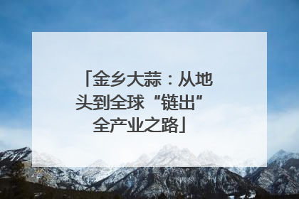 金乡大蒜：从地头到全球“链出”全产业之路