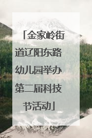 金家岭街道辽阳东路幼儿园举办第二届科技节活动