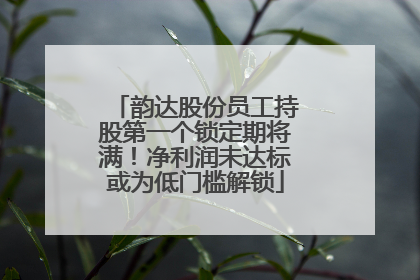 韵达股份员工持股第一个锁定期将满！净利润未达标或为低门槛解锁