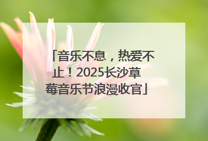 音乐不息，热爱不止！2025长沙草莓音乐节浪漫收官