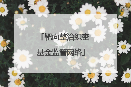 靶向整治织密基金监管网络