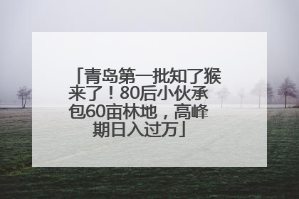 青岛第一批知了猴来了！80后小伙承包60亩林地，高峰期日入过万