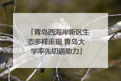 青岛西海岸新区生态多样重现 青岛大学率先切题助力