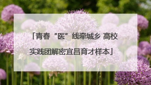 青春“医”线牵城乡 高校实践团解密宜昌育才样本