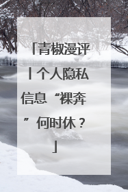青椒漫评丨个人隐私信息“裸奔”何时休？