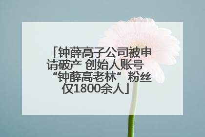 钟薛高子公司被申请破产 创始人账号“钟薛高老林”粉丝仅1800余人