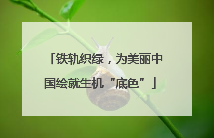 铁轨织绿，为美丽中国绘就生机“底色”