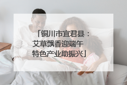 铜川市宜君县：艾草飘香迎端午 特色产业助振兴