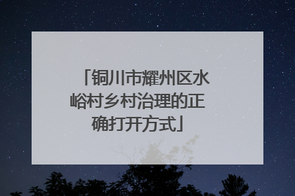 铜川市耀州区水峪村乡村治理的正确打开方式