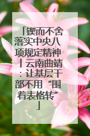 锲而不舍落实中央八项规定精神丨云南曲靖：让基层干部不用“围着表格转”