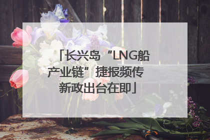 长兴岛“LNG船产业链”捷报频传 新政出台在即