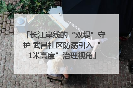 长江岸线的“双堤”守护 武昌社区防溺引入“1米高度”治理视角