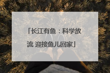 长江有鱼：科学放流 迎接鱼儿回家