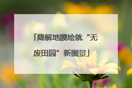 降解地膜绘就“无废田园”新图景