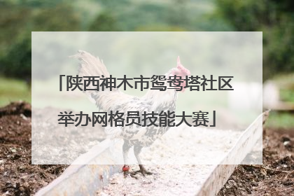 陕西神木市鸳鸯塔社区举办网格员技能大赛