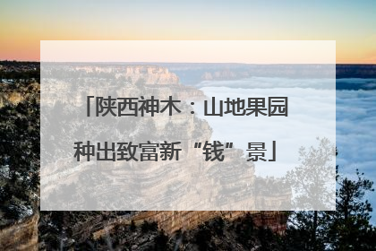 陕西神木：山地果园种出致富新“钱”景