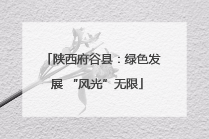 陕西府谷县：绿色发展 “风光”无限
