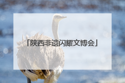 陕西非遗闪耀文博会