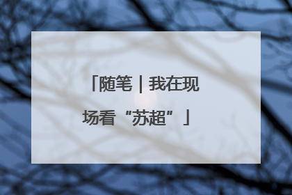 随笔｜我在现场看“苏超”