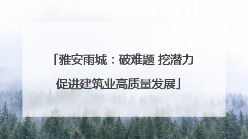 雅安雨城：破难题 挖潜力 促进建筑业高质量发展