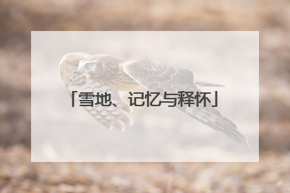 雪地、记忆与释怀