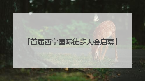首届西宁国际徒步大会启幕