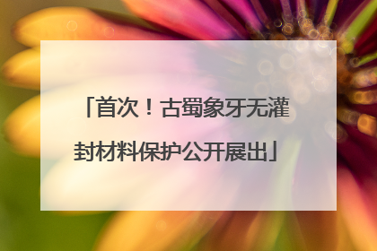 首次！古蜀象牙无灌封材料保护公开展出
