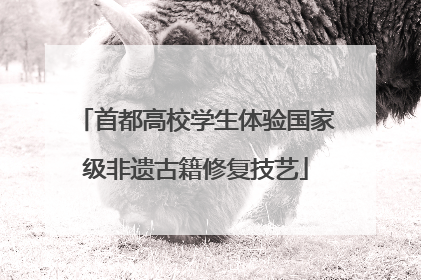 首都高校学生体验国家级非遗古籍修复技艺